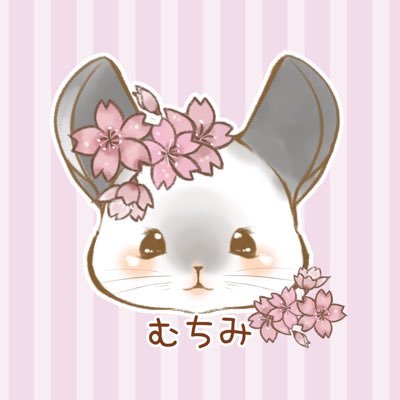 ⋆┈┈┈┈┈┈┈┈┈┈┈┈┈┈┈┈┈┈┈┈┈┈┈┈┈┈┈┈┈┈⋆🐭むちみ ♂🎂2020.7.18 🏠2020.10.5 ┈┈┈┈┈┈┈┈┈┈┈┈ 🐹てまり︎︎ ♀🎂2022.8.18 🏠2022.9.14 ┈┈┈┈┈┈┈┈┈┈┈┈ ⋆┈┈┈┈┈┈┈┈┈┈┈┈┈┈┈┈┈┈┈┈┈┈┈┈┈┈┈┈┈┈⋆