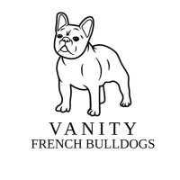 Vanity French Bulldogs(@VanityBulldogs) 's Twitter Profile Photo