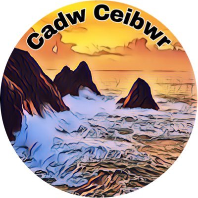 CadwCeibwr Profile Picture