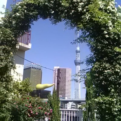 YAMAHAJapan55's profile picture. PCゲームの有志翻訳者。(EN-JP translater)古い映画好き。tyro、名義で、共同翻訳、Orwell Keepin Eye On You.サブアカウントで、国内専用。メインは、よその国の人達向け。日本の方で、何故かあちらで、イイネ、するとこちらで迎えることもあります。ビックリした～。