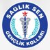 Denizli Sağlık-Sen Gençlik Kolları (@ss_genclik20) Twitter profile photo