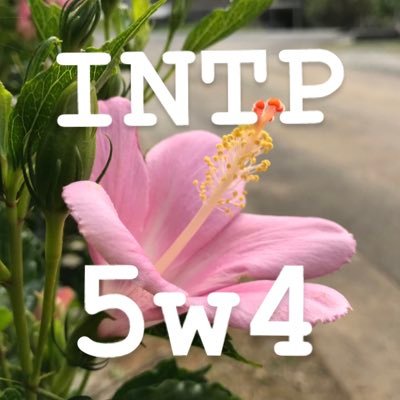 INTP_T_5W4_549 Profile Picture