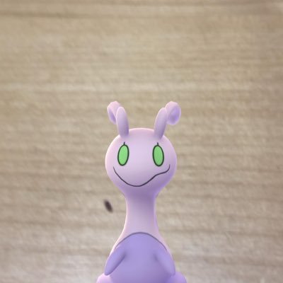 kinakomegu's profile picture. 