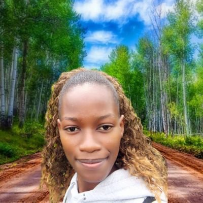 LucyShiroo's profile picture. Software developer