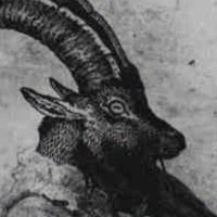 thyrs (@oldthyrs) 's Twitter Profile