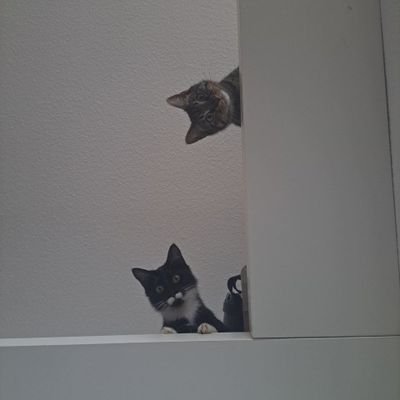 Glyca21's profile picture. 