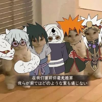 wusuowe10778436's profile picture. 无