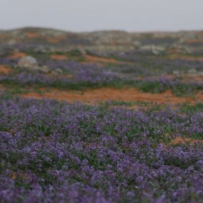 Algarni1Garni's profile picture. Be yourself there's no one better