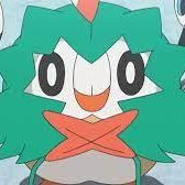 rowlet