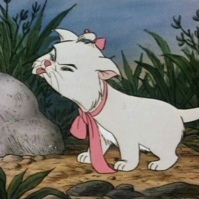 Shanins_'s profile picture. 