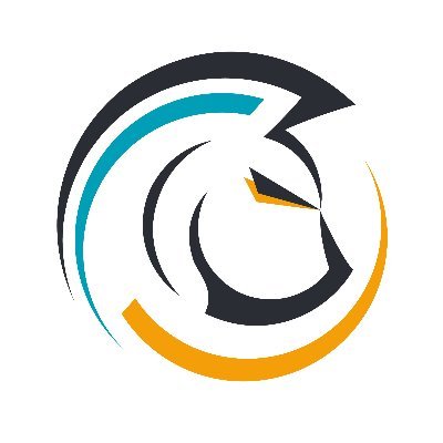 Fractional CMO + Expert Marketing Implementation services