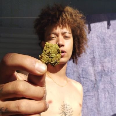 feijaoBean's profile picture. Cantor - Compositor 

música eu, eu música, sempre música.