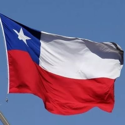 El sentido común es consensuar la convivencia con derechos y deberes, Chile creció en democracia!
Terminemos con la tontera Constitucional.