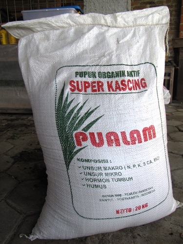 KiosTransagro's profile picture. Menyediakan bibit2 tanaman buah dan langka, beras dan sayur organik, pupuk organik dan lain2, http://t.co/UqigHDFt1K