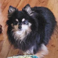 Cookie 🍪 Duke/Tank 🌈 (@wileytank) 's Twitter Profile Photo Cookie 🍪 Duke/Tank 🌈 (@wileytank) 's Twitter Profile Photo