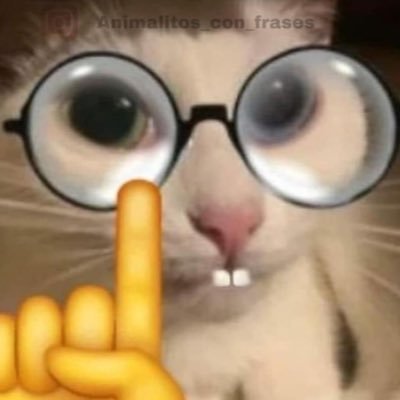 AdinCaLleno1889's profile picture. 