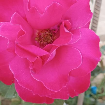 R60309's profile picture. 