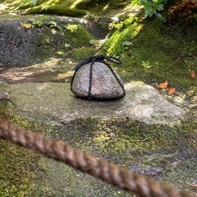 tetragocco's profile picture. 幽霊である 音楽つくることがある人