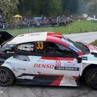 Phil D 🖌🧢 (@rallyphil33ee) 's Twitter Profile Photo Phil D 🖌🧢 (@rallyphil33ee) 's Twitter Profile Photo