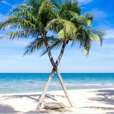 DsantX1's profile picture. In the midst of chaos, there is also opportunity.