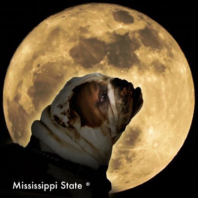 We are the (student led) Astronomy Club of MSU! We host public events twice a year at Howell Observatory, in Starkville, and club events for students.