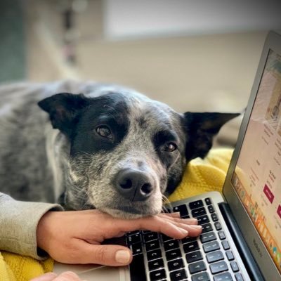 i work from home with my dog 💻🐕‍🦺 don’t follow me