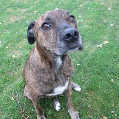 Wildcat6768's profile picture. 