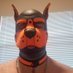 Pup Locke (@LockePup) Twitter profile photo