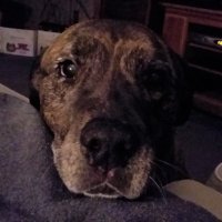 Relaxedgent51 (@relaxedgent51) 's Twitter Profile