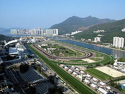 Sha Tin and Happy Valley Horse Racing has been my passion for a number of years and I really do look for the Overlay Selections.Enjoy my Tweets.