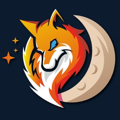 LDLC_NightFoxes Profile Picture