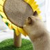 🌻 (@notnotminda) Twitter profile photo 🌻 (@notnotminda) Twitter profile photo