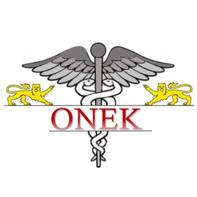 Nouveau VP communication de L'ONEK (Organisation Normande des Étudiants en Kiné)
Il/lui
