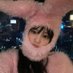 rere (@zprettyruby) Twitter profile photo rere (@zprettyruby) Twitter profile photo