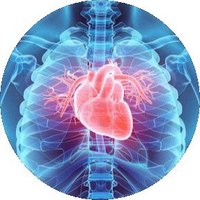 Cardiothoracic ICU(@cticu_nyp) 's Twitter Profileg