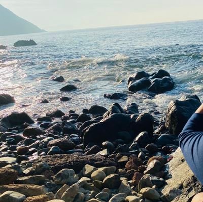 Anupriya2393's profile picture. 