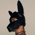 Tiago (@pup_tiago) Twitter profile photo