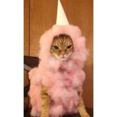 02appuser's profile picture. 