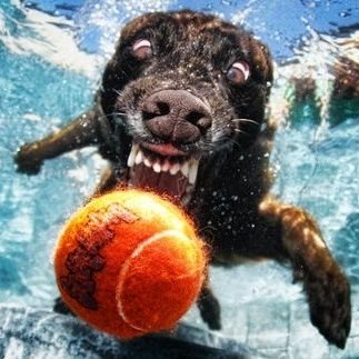 hali15444856's profile picture. 