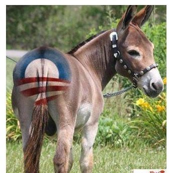 NitrogenNarcos3's profile picture. How did Homo sapiens for the first 299,947 yrs of our 300,000 yr history manage in rare instances to be homosexuals & transexuals w/o corrupting kids in school?