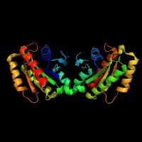 Hilfiker Lab (@hilfikerlab) 's Twitter Profile