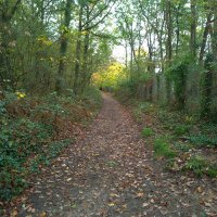 Aurore Lecomte (@geoencartable) 's Twitter Profile