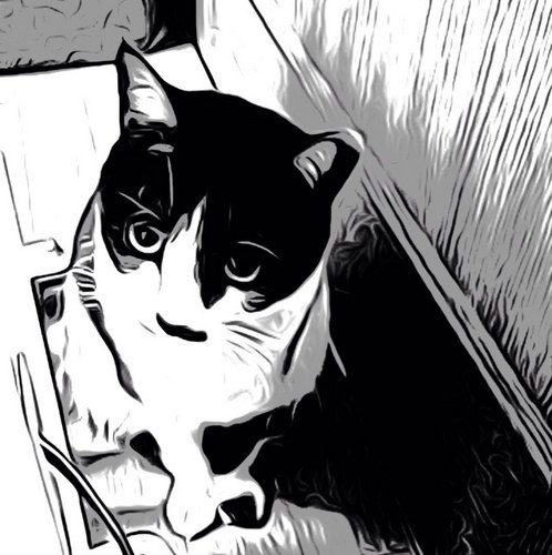 rykinse's profile picture. 