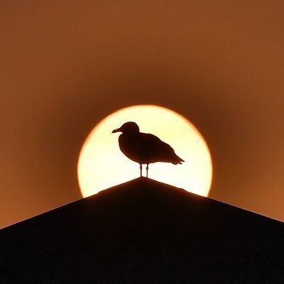 TruthXX10's profile picture. 