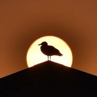 ... (@truthxx10) 's Twitter Profile Photo ... (@truthxx10) 's Twitter Profile Photo