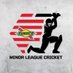 Minor League Cricket (@MiLCricket) Twitter profile photo