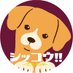 ｢シッコウ!!～犬と私と執行官～｣🐾テレビ朝日火曜9時ドラマ【公式】 (@shikkou_tvasahi) Twitter profile photo