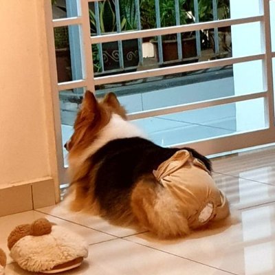 lenadikobe's profile picture. ✈️Trave —💍—Shopping— 🍾Gourmet
            
     🇨🇳SZ-🇺🇸LA-🇨🇳SH-🇭🇰HK

🛩Record life with photos📸&🥂Food
       
  🌈Freedom & Independence💕