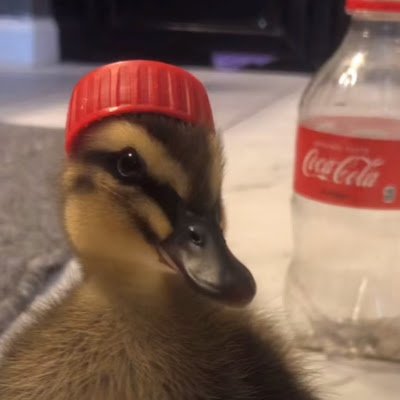 Alexnr_13's profile picture. 