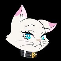 Bondage Kitties (@bondagekitties_) 's Twitter Profile
